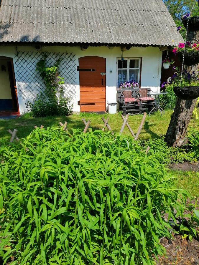Searooms Lapmežciems Extérieur photo